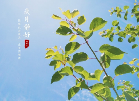 愿歲月靜好，山河無(wú)恙